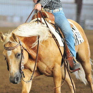 Meet your Posher, Stefanie